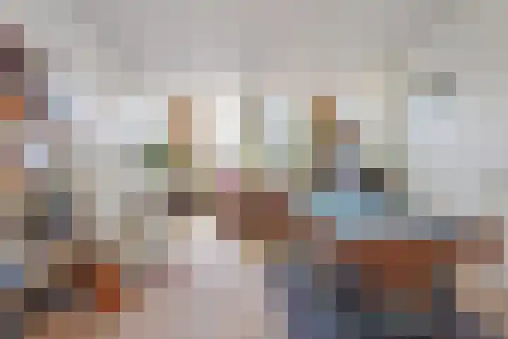 Boslaan 13 Balkbrug thumbnail 9