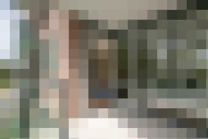 Boslaan 15 Nieuwerkerk aan den IJssel thumbnail 8