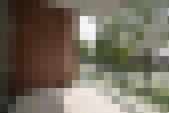 Boslaan 15 Nieuwerkerk aan den IJssel thumbnail 9
