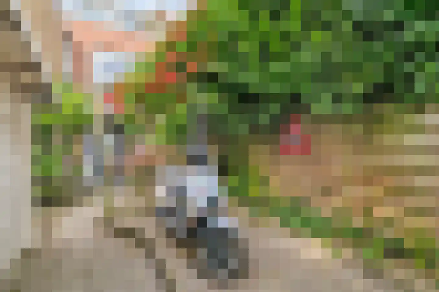 Boslaan 15 Vlaardingen thumbnail 26