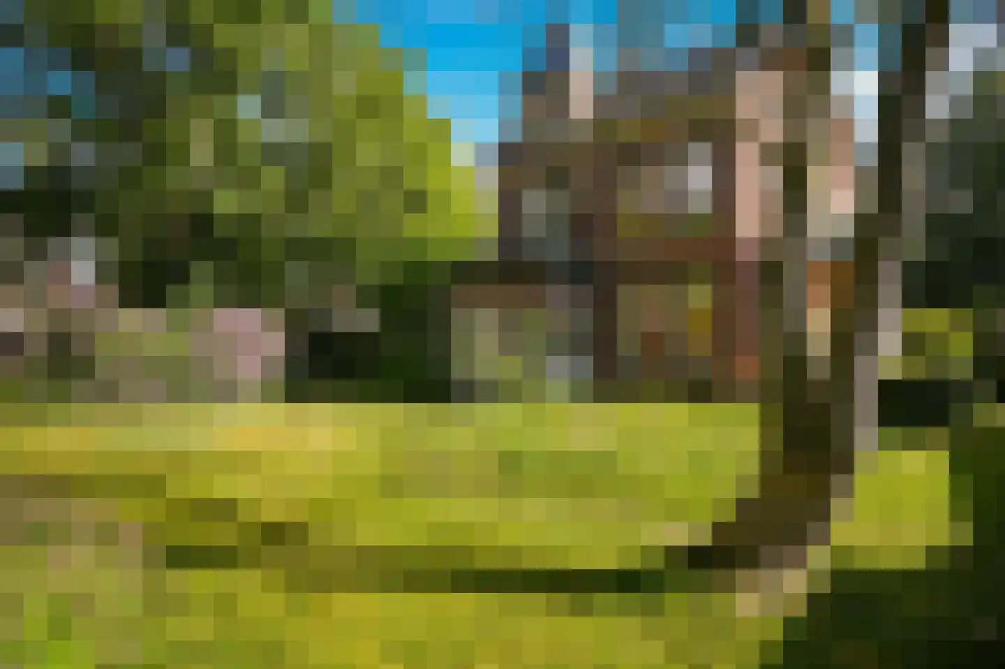 Boslaan 15 Zeist foto 3