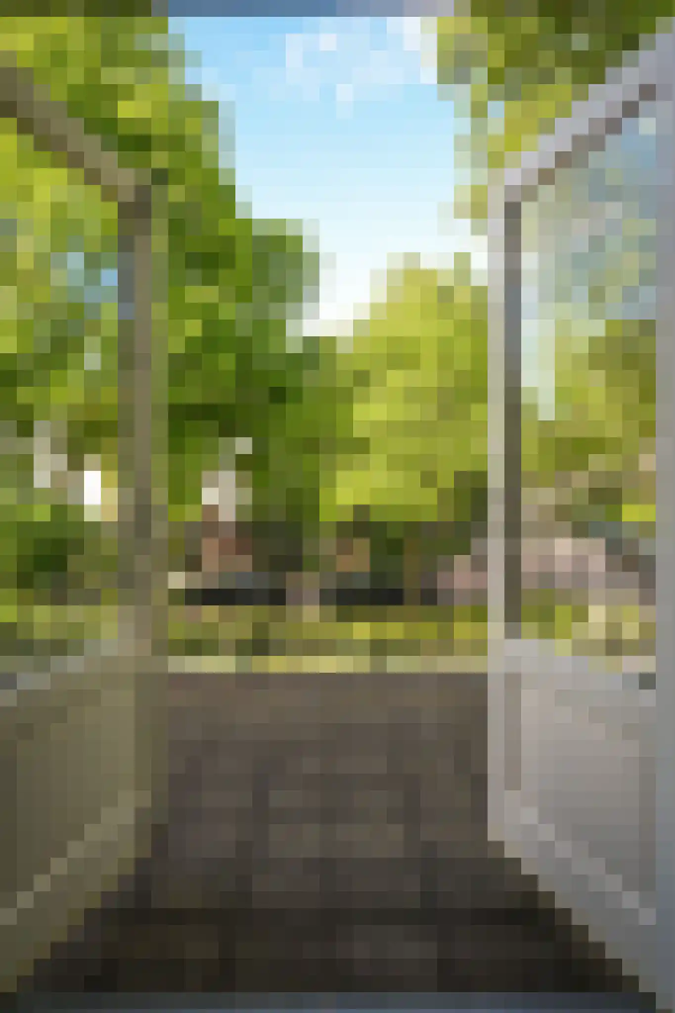 Boslaan 15 Zeist thumbnail 31