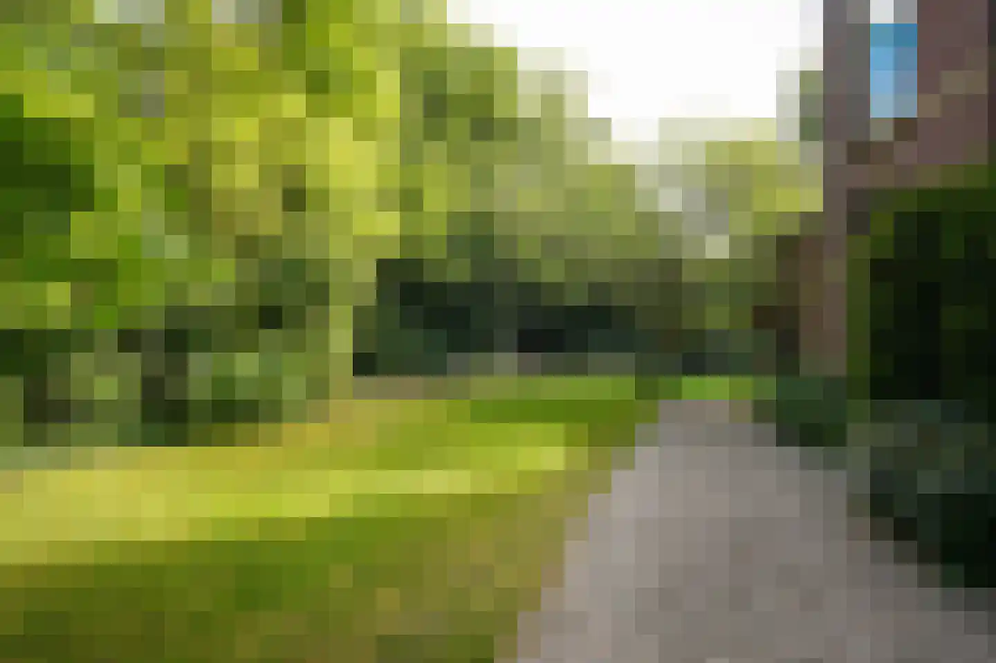 Boslaan 15 Zeist thumbnail 37