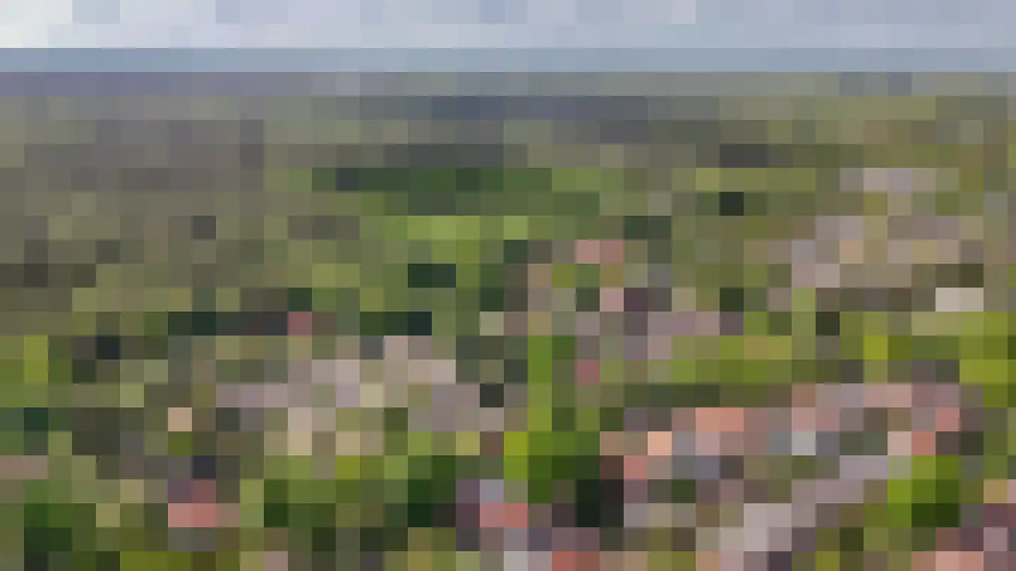 Boslaan 15 Zeist thumbnail 4