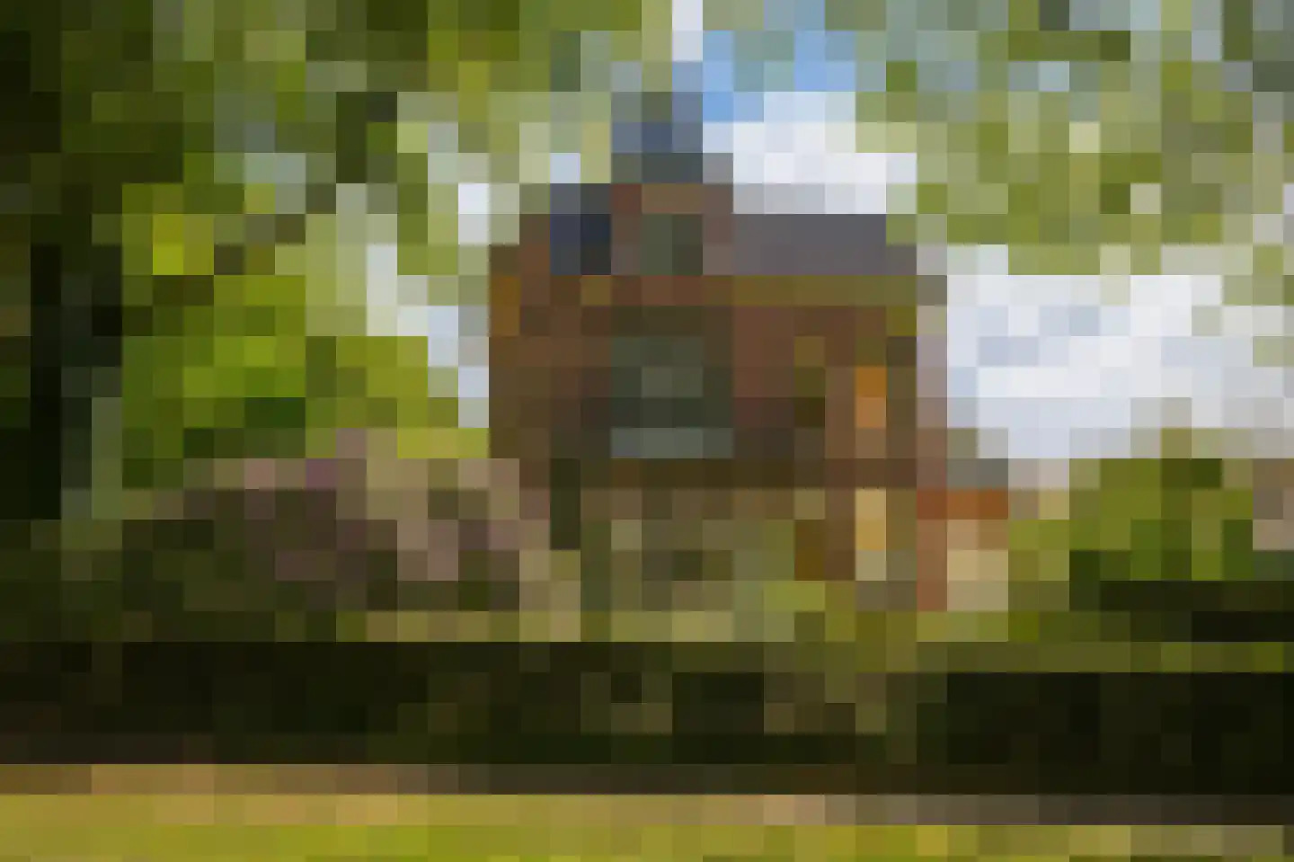 Boslaan 15 Zeist thumbnail 43