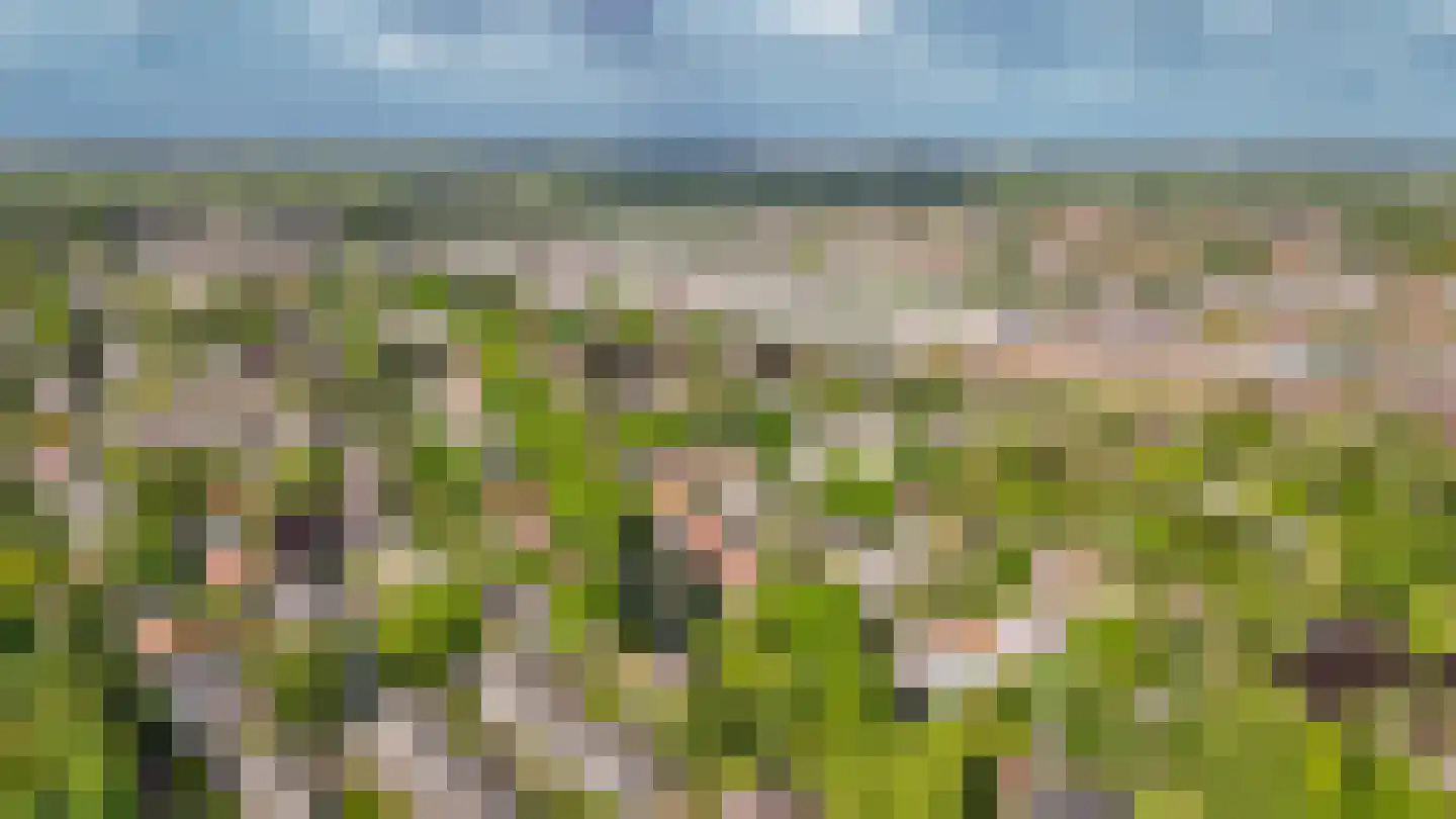 Boslaan 15 Zeist thumbnail 9