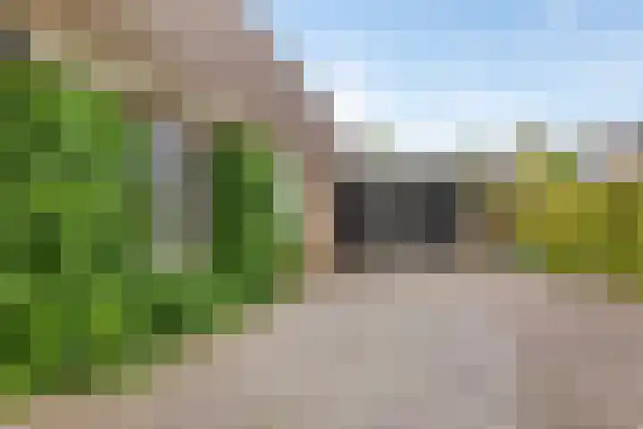 Boslaan 16 A Appelscha thumbnail 11