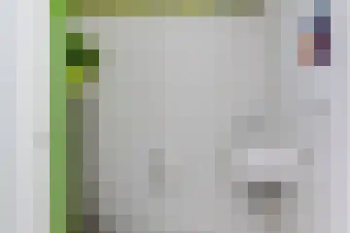 Boslaan 16 A Appelscha thumbnail 13