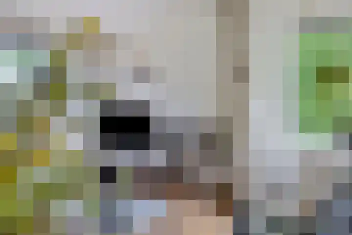 Boslaan 16 A Appelscha thumbnail 15
