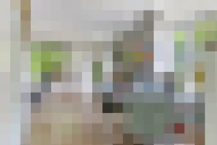 Boslaan 16 A Appelscha thumbnail 17