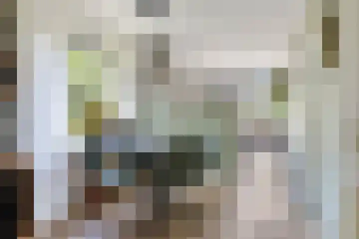 Boslaan 16 A Appelscha thumbnail 18
