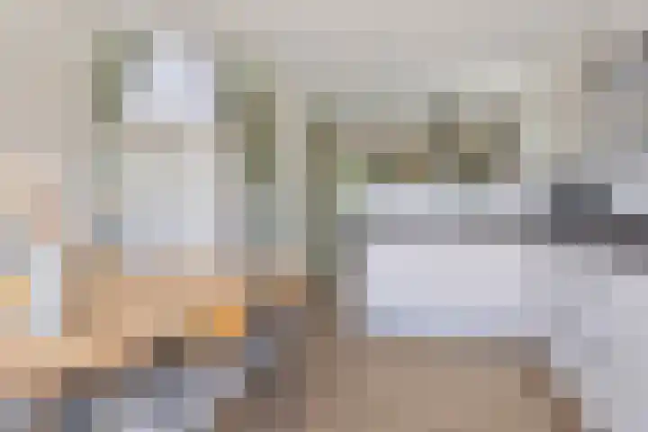 Boslaan 16 A Appelscha thumbnail 20