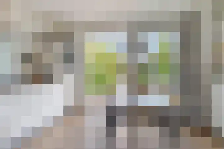 Boslaan 16 A Appelscha thumbnail 21