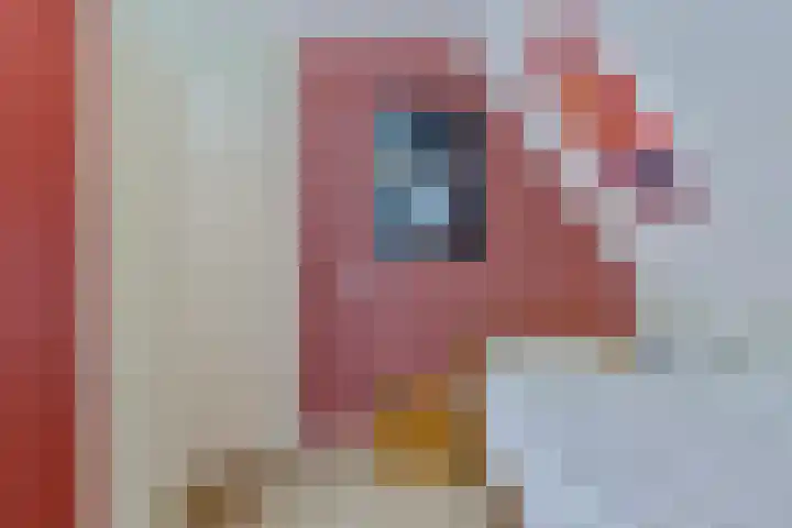 Boslaan 16 A Appelscha thumbnail 30