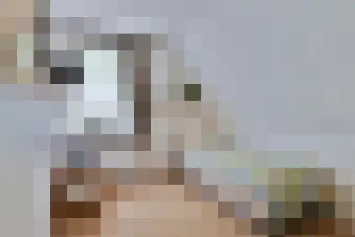 Boslaan 16 A Appelscha thumbnail 31