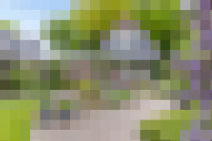 Boslaan 16 A Appelscha thumbnail 34
