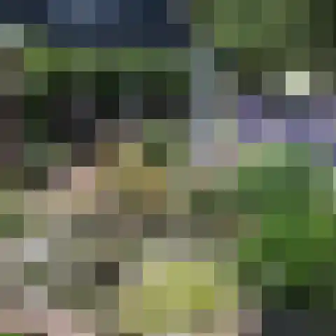 Boslaan 16 A Appelscha thumbnail 35