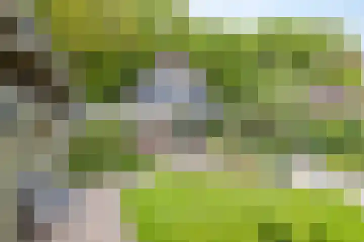 Boslaan 16 A Appelscha thumbnail 36