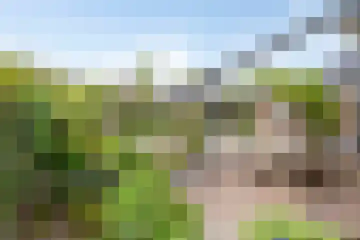 Boslaan 16 A Appelscha thumbnail 37