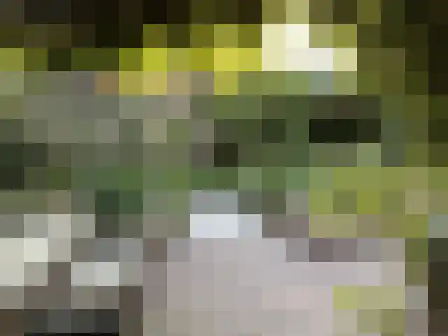 Boslaan 16 A Appelscha thumbnail 38