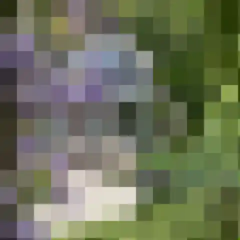 Boslaan 16 A Appelscha thumbnail 39