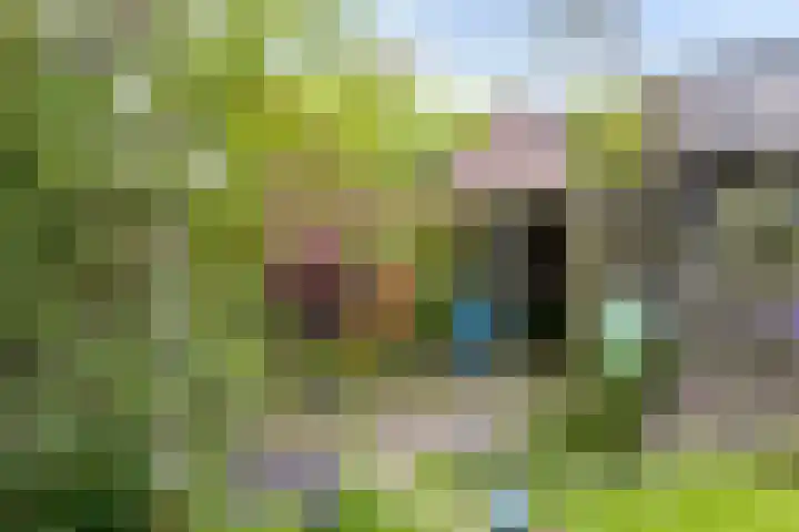 Boslaan 16 A Appelscha thumbnail 42