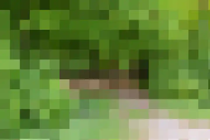 Boslaan 16 A Appelscha thumbnail 45