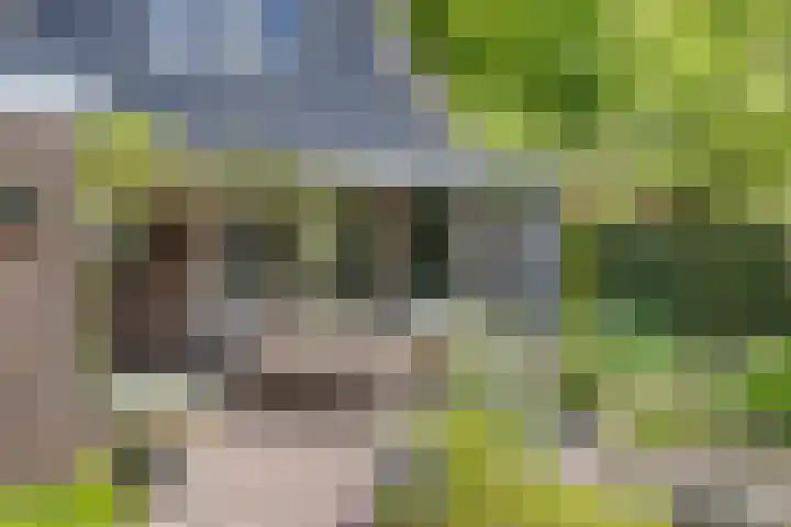 Boslaan 16 A Appelscha thumbnail 5