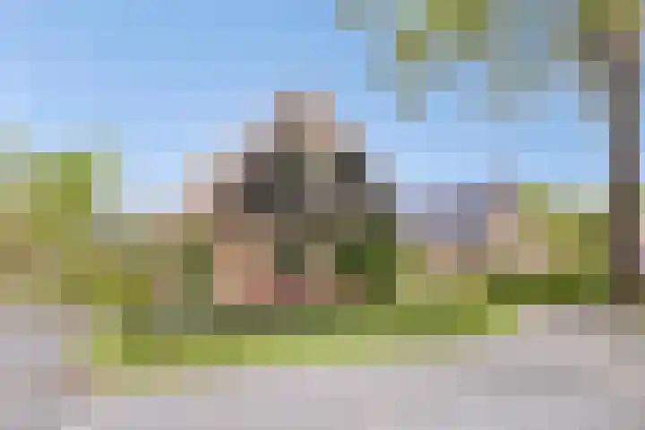 Boslaan 16 A Appelscha thumbnail 50