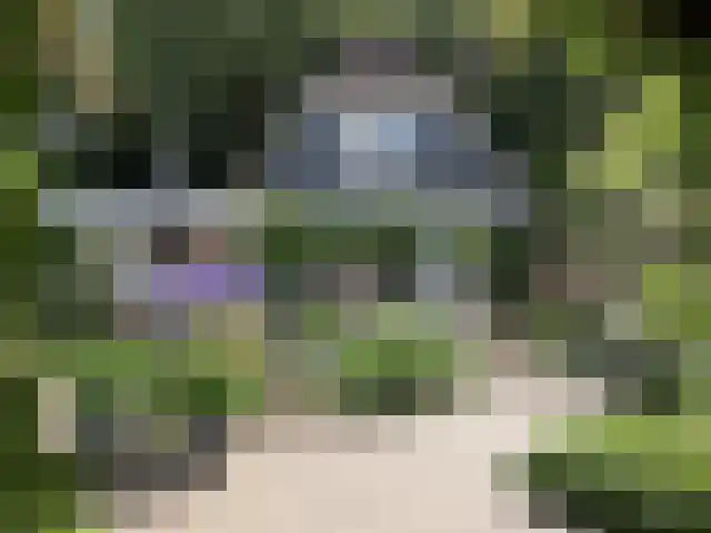 Boslaan 16 A Appelscha thumbnail 6