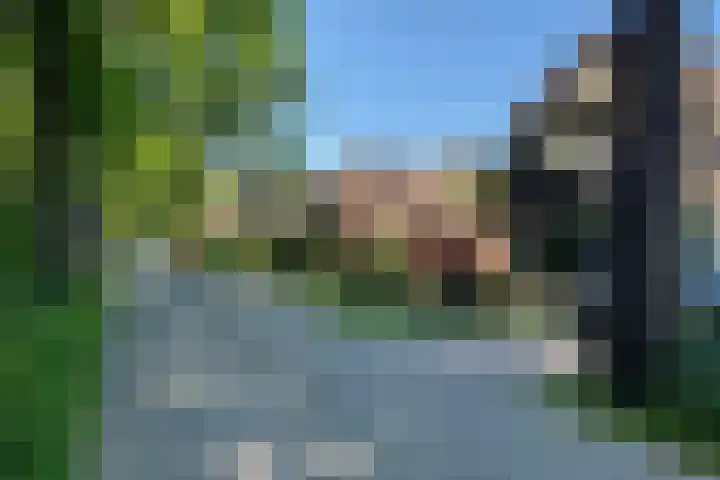 Boslaan 16 A Appelscha thumbnail 7