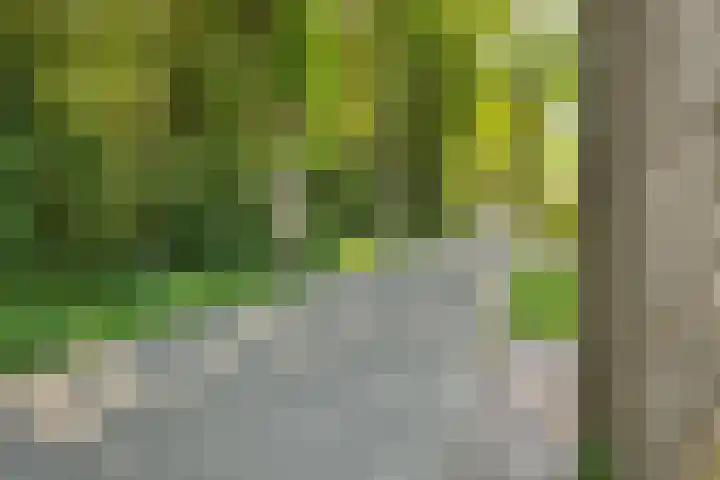 Boslaan 16 A Appelscha thumbnail 8