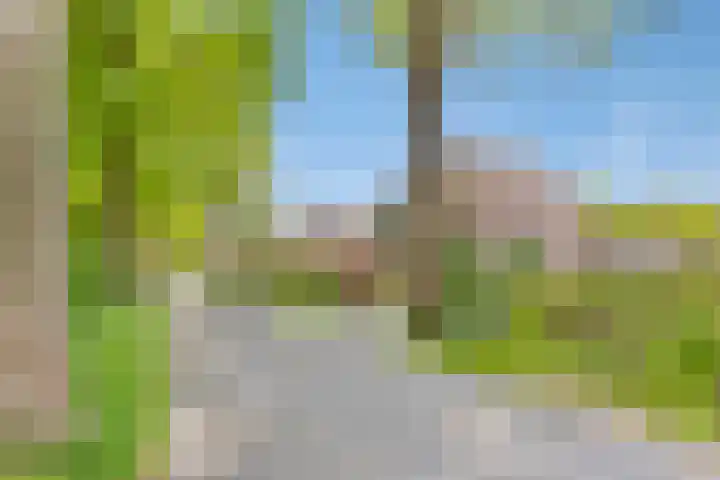 Boslaan 16 A Appelscha thumbnail 9