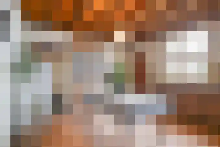 Boslaan 16 Best thumbnail 15