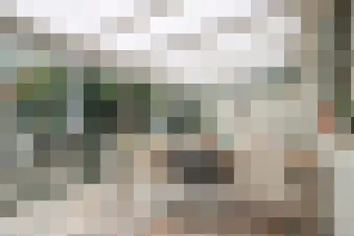 Boslaan 16 Best thumbnail 18