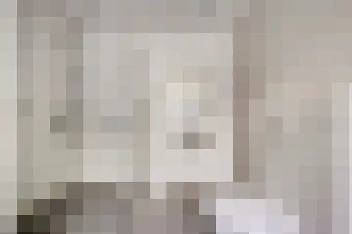 Boslaan 16 Best thumbnail 22
