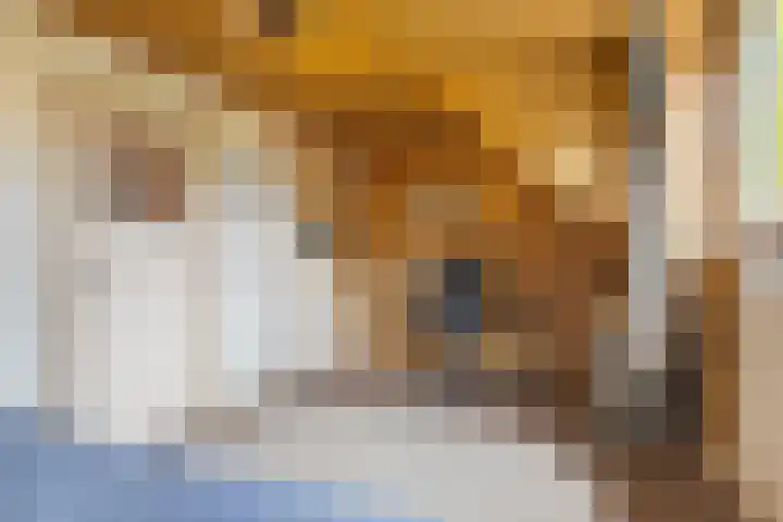 Boslaan 16 Best thumbnail 27