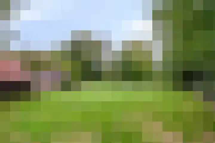 Boslaan 16 Best thumbnail 35