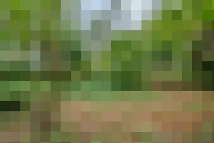 Boslaan 16 Best thumbnail 38