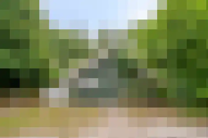 Boslaan 16 Best thumbnail 39
