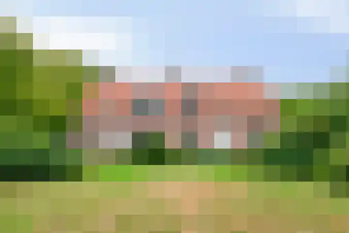 Boslaan 16 Best thumbnail 4