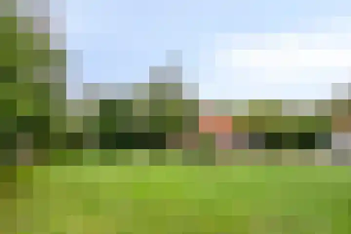 Boslaan 16 Best thumbnail 40