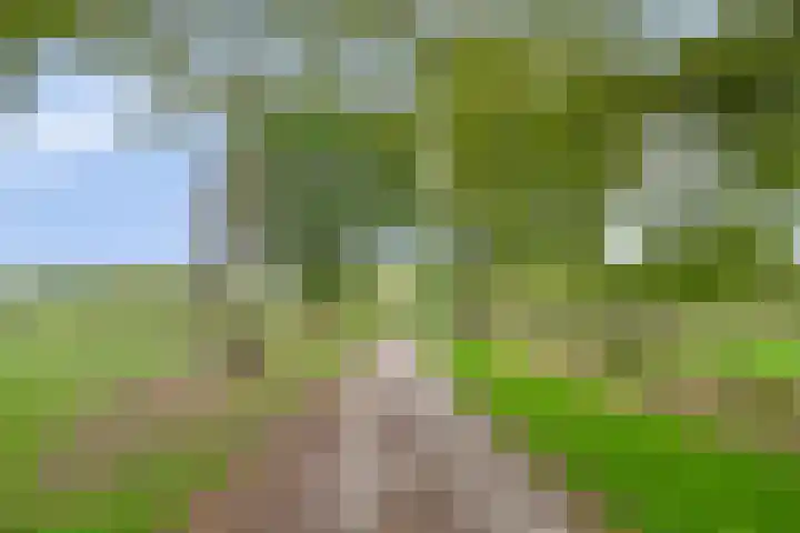 Boslaan 16 Best thumbnail 44