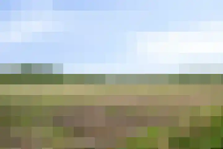 Boslaan 16 Best thumbnail 45