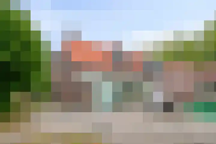 Boslaan 16 Best thumbnail 46