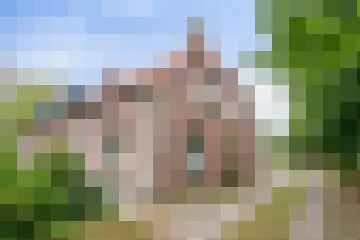 Boslaan 16 Best thumbnail 5