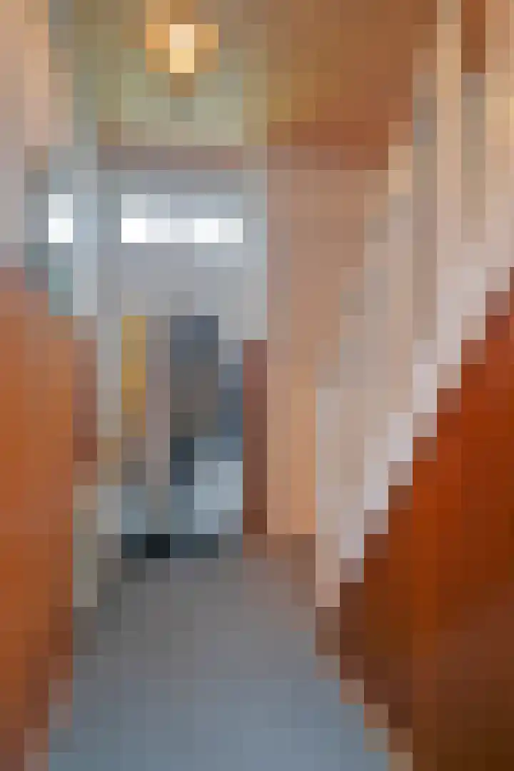 Boslaan 16 Best thumbnail 6