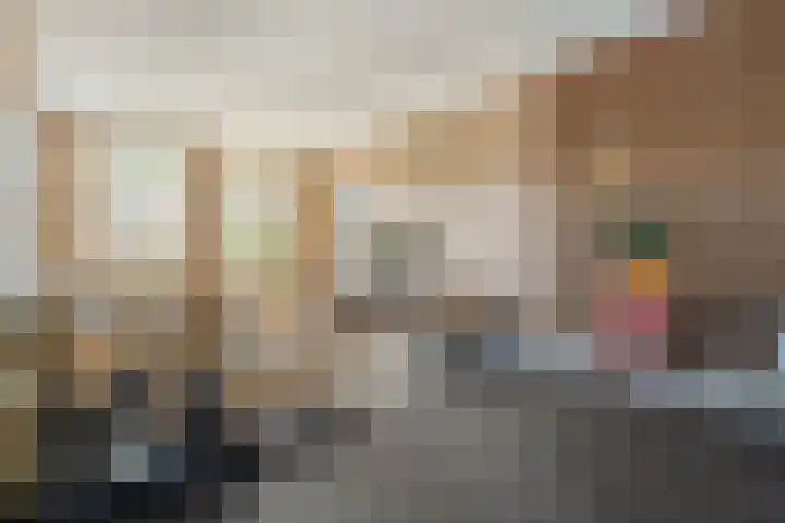 Boslaan 17 Balkbrug thumbnail 11