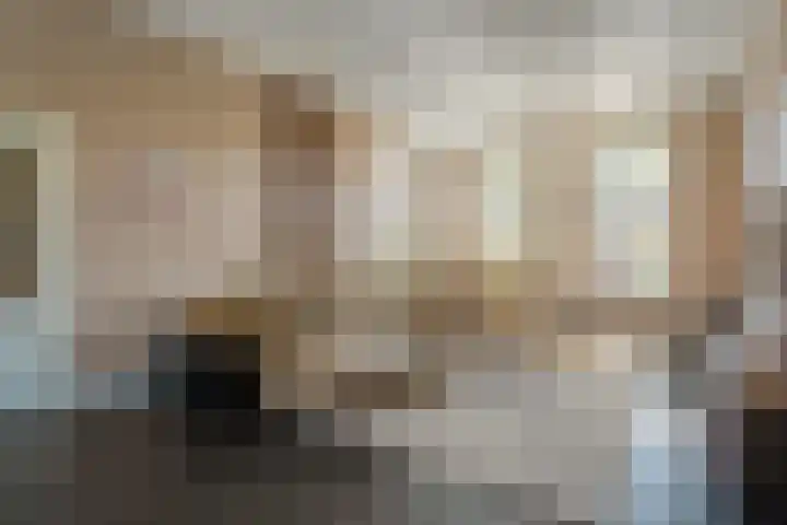 Boslaan 17 Balkbrug thumbnail 12