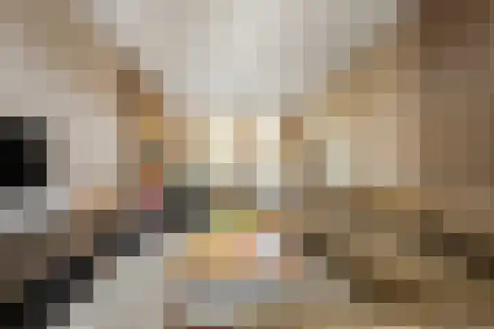 Boslaan 17 Balkbrug thumbnail 13